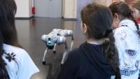 Robotický pes HafiQ iQLANDIA